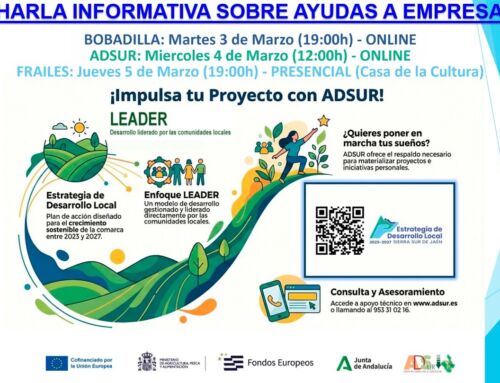 ADSUR IMPULSA SESIONES INFORMATIVAS SOBRE AYUDAS A EMPRESAS Y PERSONAS EMPRENDEDORAS EN EL MARCO DE LA ESTRATEGIA DE DESARROLLO LOCAL 2023-2027
