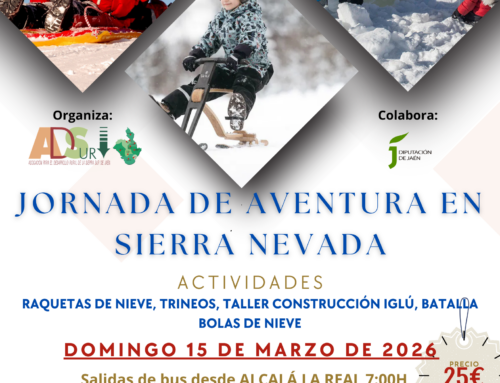 Jornada de Aventura en Sierra Nevada