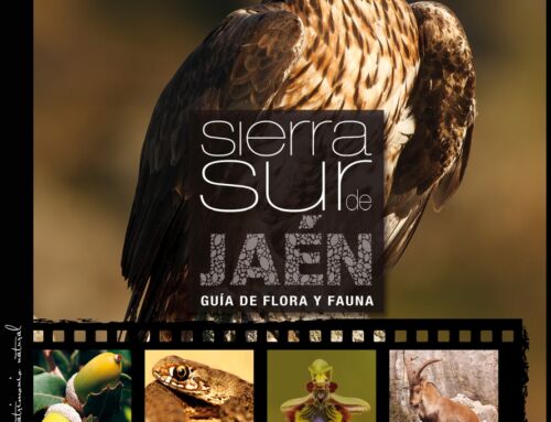 ¿Quieres conocer el patrimonio natural de la Sierra Sur de Jaén?